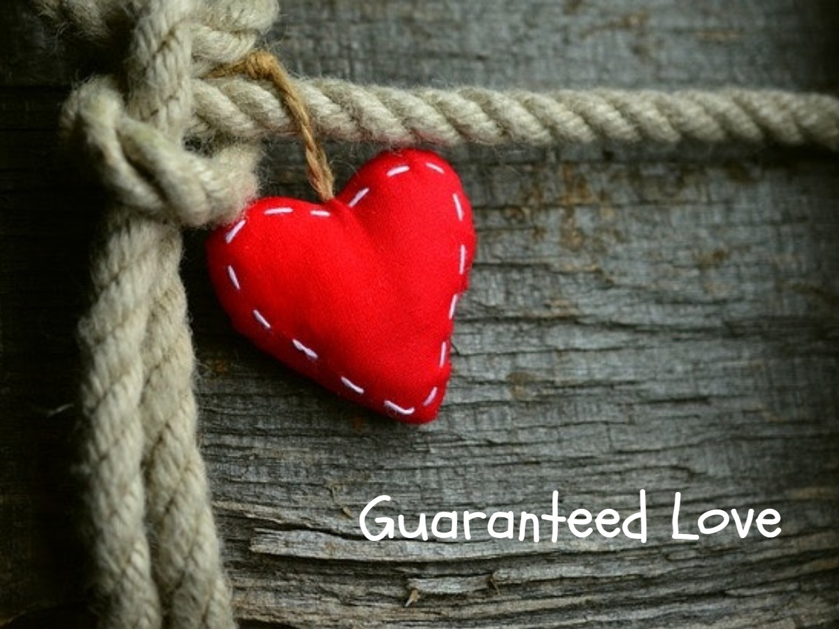 Guaranteed Love