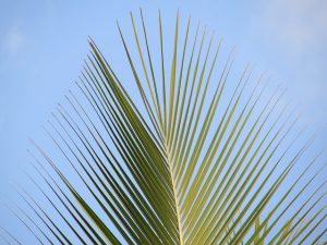 Holy Week