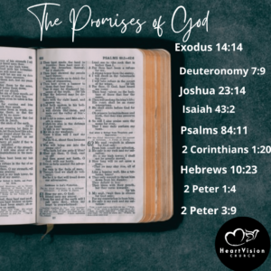 In the World We Live In, We Need God’s Promises