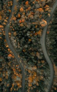 The Two Paths