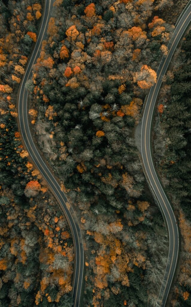 The Two Paths