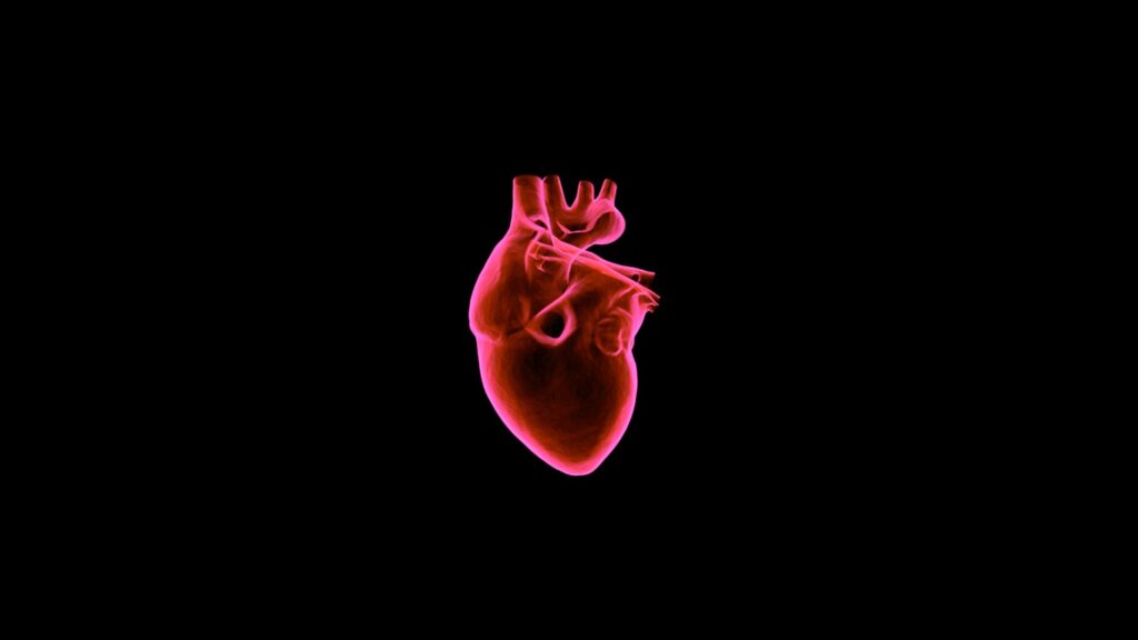 God Looks at the Heart