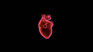 God Looks at the Heart