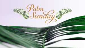 Easter Explained Palm Sunday