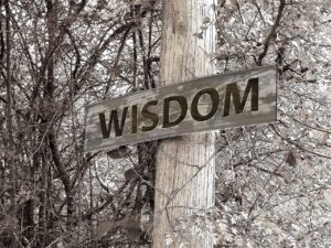 Godly wisdom